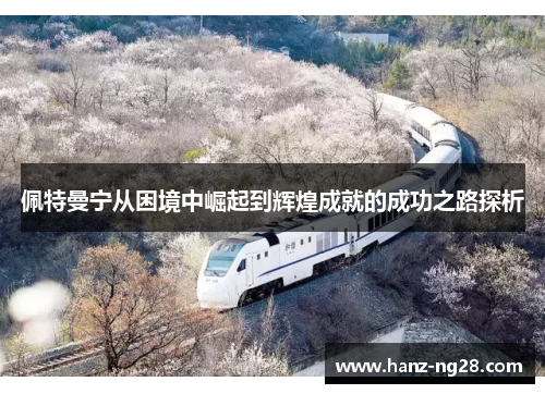 佩特曼宁从困境中崛起到辉煌成就的成功之路探析