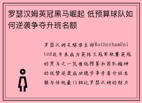 罗瑟汉姆英冠黑马崛起 低预算球队如何逆袭争夺升班名额
