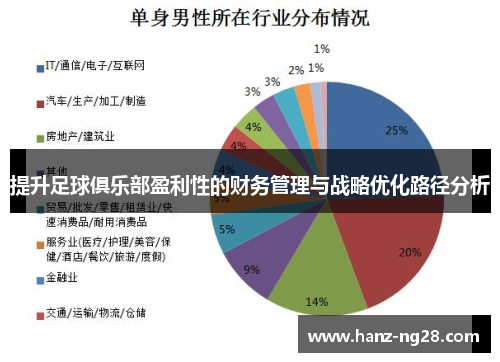提升足球俱乐部盈利性的财务管理与战略优化路径分析 提升足球俱乐部盈利性的财务管理与战略优化路径分析