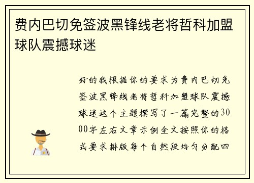 费内巴切免签波黑锋线老将哲科加盟球队震撼球迷