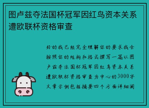 图卢兹夺法国杯冠军因红鸟资本关系遭欧联杯资格审查