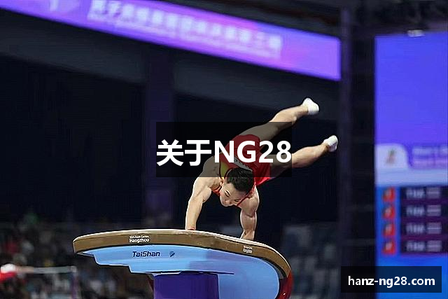 关于NG28